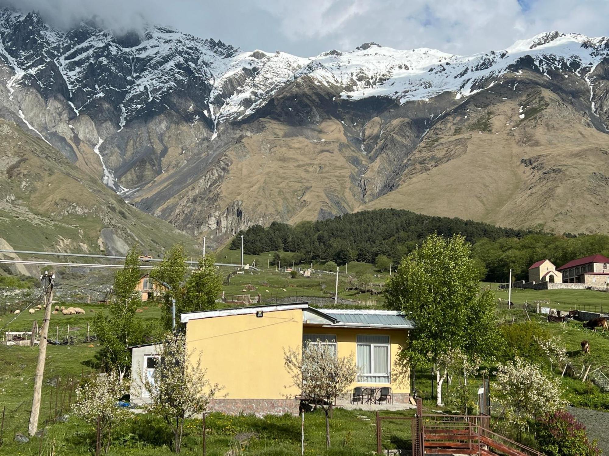 Mountain Kazbegi Apartment Exteriér fotografie